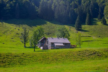 Seealpsee İsviçre 'nin Appenzell Innerrhoden kantonunun Alpstein ilçesine bağlı bir göldür..