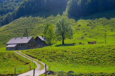 Seealpsee İsviçre 'nin Appenzell Innerrhoden kantonunun Alpstein ilçesine bağlı bir göldür..