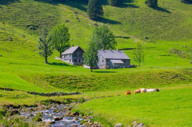 Seealpsee İsviçre 'nin Appenzell Innerrhoden kantonunun Alpstein ilçesine bağlı bir göldür..