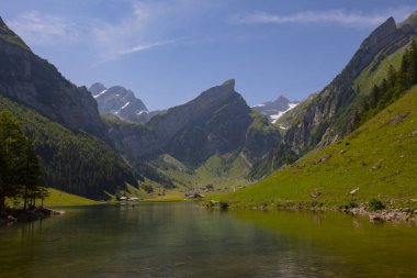 Seealpsee İsviçre 'nin Appenzell Innerrhoden kantonunun Alpstein ilçesine bağlı bir göldür..