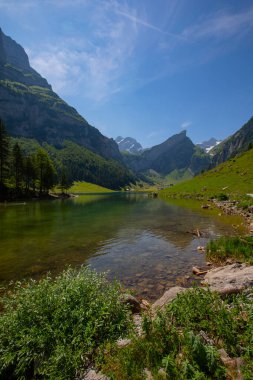 Seealpsee İsviçre 'nin Appenzell Innerrhoden kantonunun Alpstein ilçesine bağlı bir göldür..