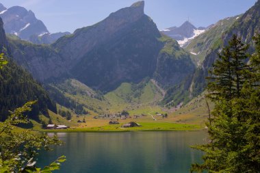 Seealpsee İsviçre 'nin Appenzell Innerrhoden kantonunun Alpstein ilçesine bağlı bir göldür..