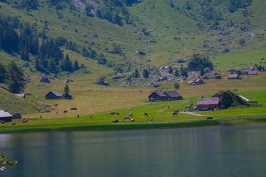 Seealpsee İsviçre 'nin Appenzell Innerrhoden kantonunun Alpstein ilçesine bağlı bir göldür..