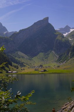 Seealpsee İsviçre 'nin Appenzell Innerrhoden kantonunun Alpstein ilçesine bağlı bir göldür..