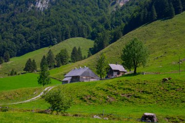 Seealpsee İsviçre 'nin Appenzell Innerrhoden kantonunun Alpstein ilçesine bağlı bir göldür..