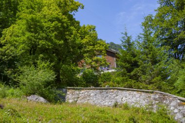 Seealpsee İsviçre 'nin Appenzell Innerrhoden kantonunun Alpstein ilçesine bağlı bir göldür..