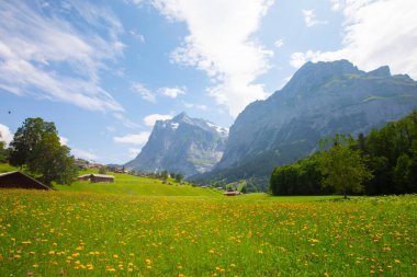Grindelwald, İsviçre 'nin Bern kantonunda Interlaken-Oberhasli iline bağlı bir köydür..