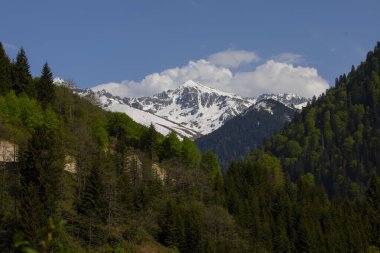 Kackar Dağları Ulusal Parkı