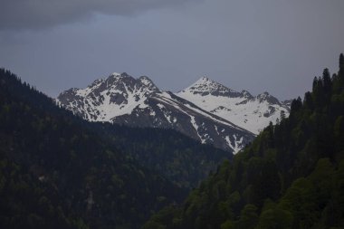 Kackar Dağları Ulusal Parkı