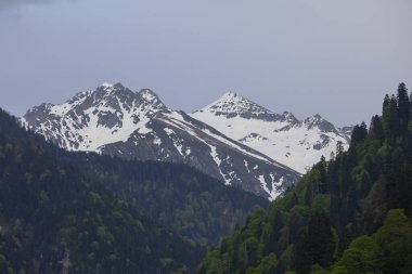Kackar Dağları Ulusal Parkı