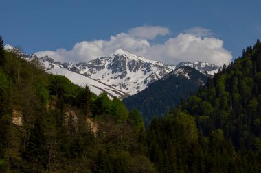 Kackar Dağları Ulusal Parkı