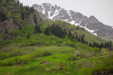 Kackar Dağları Ulusal Parkı
