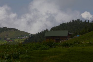 Kackar Dağları Sal ve Pokut Platosu