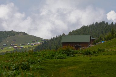 Kackar Dağları Sal ve Pokut Platosu