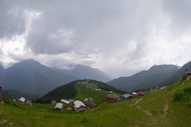 Kackar Dağları Sal ve Pokut Platosu