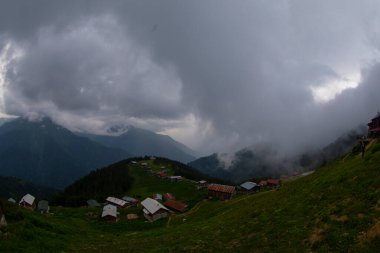 Kackar Dağları Sal ve Pokut Platosu