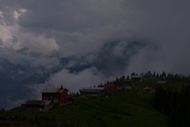 Kackar Dağları Sal ve Pokut Platosu