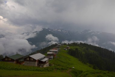 Kackar Dağları Sal ve Pokut Platosu