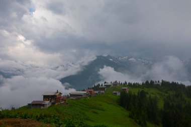 Kackar Dağları Sal ve Pokut Platosu