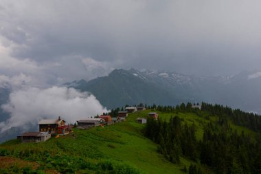 Kackar Dağları Sal ve Pokut Platosu