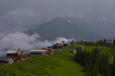 Kackar Dağları Sal ve Pokut Platosu