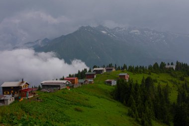 Kackar Dağları Sal ve Pokut Platosu