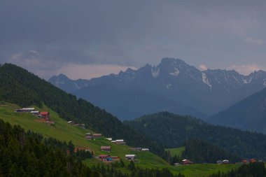 Kackar Dağları Sal ve Pokut Platosu