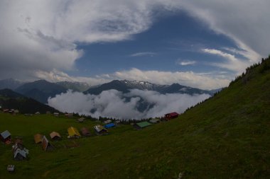 Kackar Dağları Sal ve Pokut Platosu