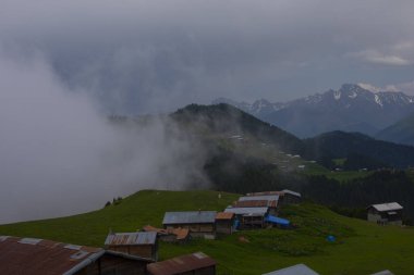 Kackar Dağları Sal ve Pokut Platosu