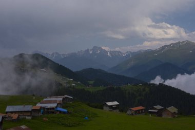 Kackar Dağları Sal ve Pokut Platosu
