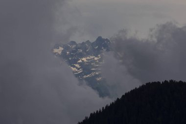 Kackar dağları Badara yaylası
