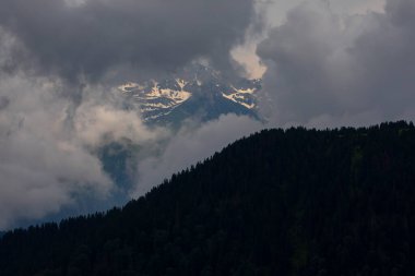 Kackar dağları Badara yaylası
