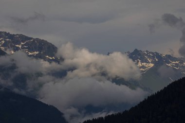Kackar dağları Badara yaylası