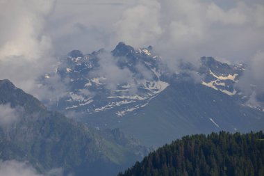 Kackar dağları Badara yaylası