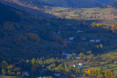 SavSat, Karadeniz Bölgesi 'nin doğu ucunda Artvin ilinin merkezi kent. Avat adı Gürcü kelime aveti 'den gelmektedir ve Avat kasabası tarihi aveti bölgesindeki yerleşim birimlerinden biridir..