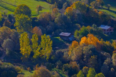 SavSat, Karadeniz Bölgesi 'nin doğu ucunda Artvin ilinin merkezi kent. Avat adı Gürcü kelime aveti 'den gelmektedir ve Avat kasabası tarihi aveti bölgesindeki yerleşim birimlerinden biridir..