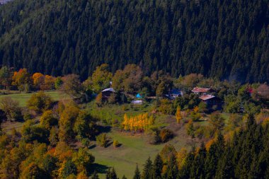 SavSat, Karadeniz Bölgesi 'nin doğu ucunda Artvin ilinin merkezi kent. Avat adı Gürcü kelime aveti 'den gelmektedir ve Avat kasabası tarihi aveti bölgesindeki yerleşim birimlerinden biridir..