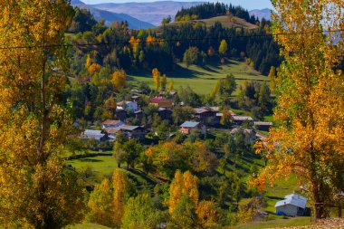SavSat, Karadeniz Bölgesi 'nin doğu ucunda Artvin ilinin merkezi kent. Avat adı Gürcü kelime aveti 'den gelmektedir ve Avat kasabası tarihi aveti bölgesindeki yerleşim birimlerinden biridir..