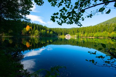 Savsat Karagol - Artvin. Avat İlçesi 'ne 25 kilometre uzaklıkta ve Sahra Karagl Milli Parkı' nda yer almaktadır..