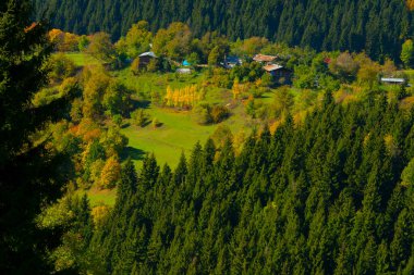 Savsat Karagol - Artvin. Avat İlçesi 'ne 25 kilometre uzaklıkta ve Sahra Karagl Milli Parkı' nda yer almaktadır..