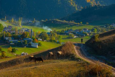 Savsat Karagol - Artvin. Avat İlçesi 'ne 25 kilometre uzaklıkta ve Sahra Karagl Milli Parkı' nda yer almaktadır..