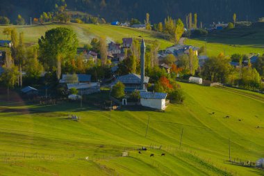 Savsat Karagol - Artvin. Avat İlçesi 'ne 25 kilometre uzaklıkta ve Sahra Karagl Milli Parkı' nda yer almaktadır..