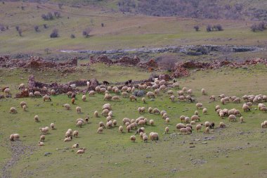 Tunceli sınırları içindeki dağlar Doğu Taurus Dağları 'nın bir uzantısı olarak batı-doğu yönünde uzanır..