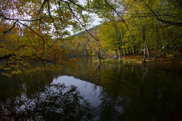 Yedigoller Milli Parkı, Bolu ilinin Karadeniz Bölgesi 'nde bir milli parktır..