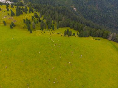 Val di Funes, Dolomitlerin batısındaki küçük bir vadinin adı.. 