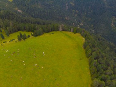 Val di Funes, Dolomitlerin batısındaki küçük bir vadinin adı.. 