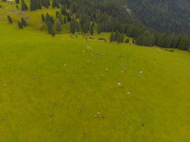 Val di Funes, Dolomitlerin batısındaki küçük bir vadinin adı.. 