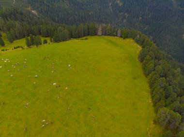 Val di Funes, Dolomitlerin batısındaki küçük bir vadinin adı.. 