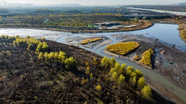 Çin Changchun 'daki Nanxi Wetland Park' ın sonbahar manzarası.