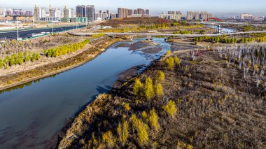 Çin Changchun 'daki Nanxi Wetland Park' ın sonbahar manzarası.